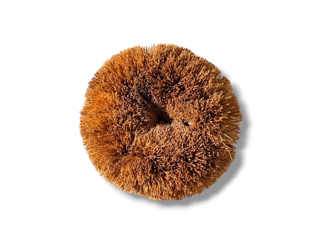 Hedgehog Coconut Scourers - Washing Up Scourers