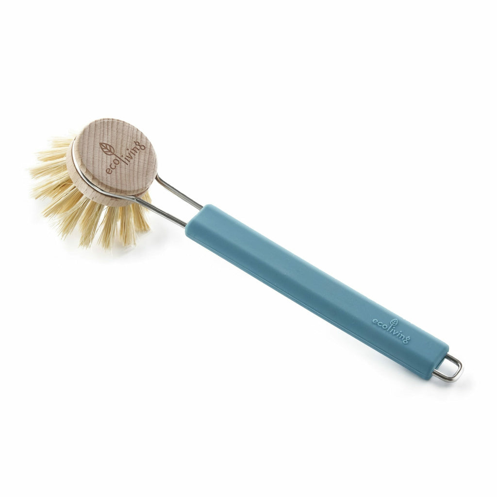 Dish Brush with Replaceable Head - coloured handle