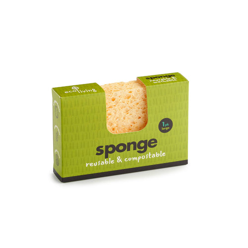 Compostable UK Sponge