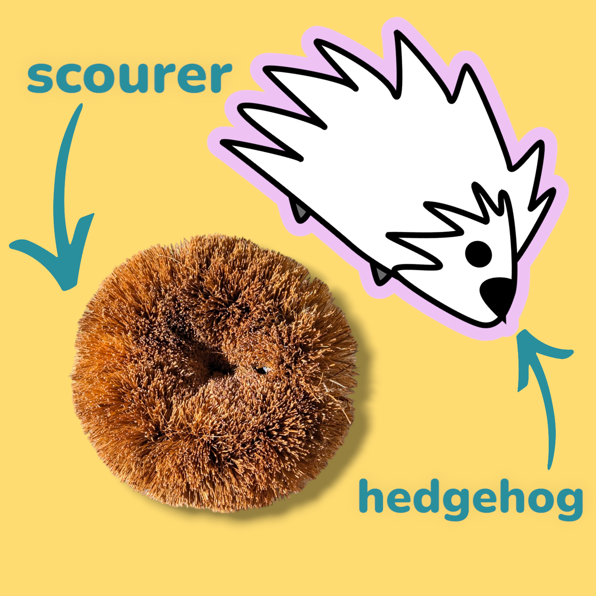 Hedgehog Coconut Scourers - Washing Up Scourers