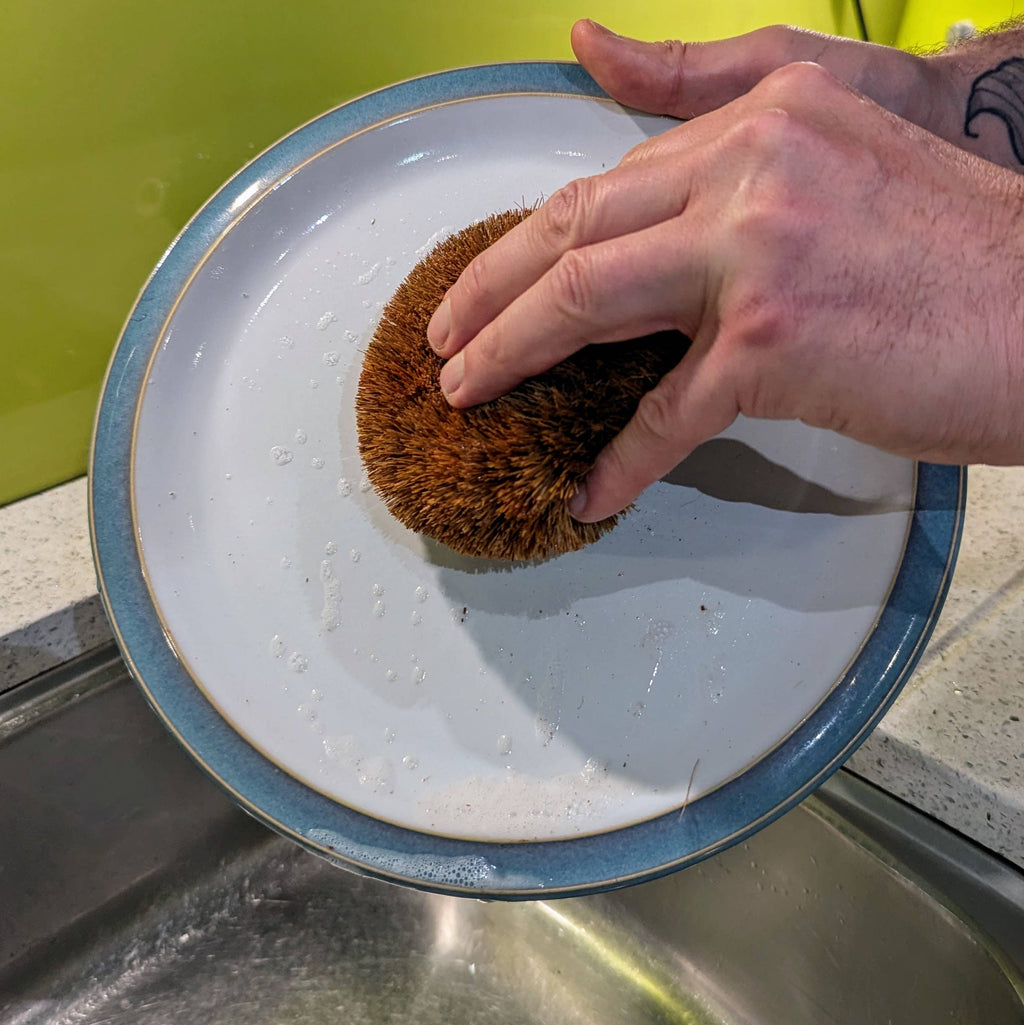 Hedgehog Coconut Scourers - Washing Up Scourers