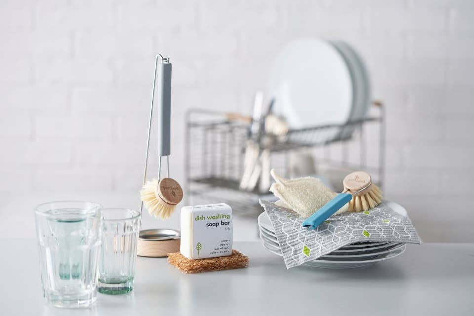 Dish Brush with Replaceable Head - coloured handle